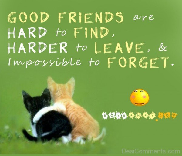 Good  Friends Quotes -DC068