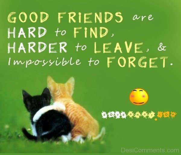 Good Friends Quotes