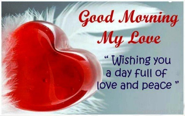 Good Morning My Love Wishing You A Day-rwq122desi09