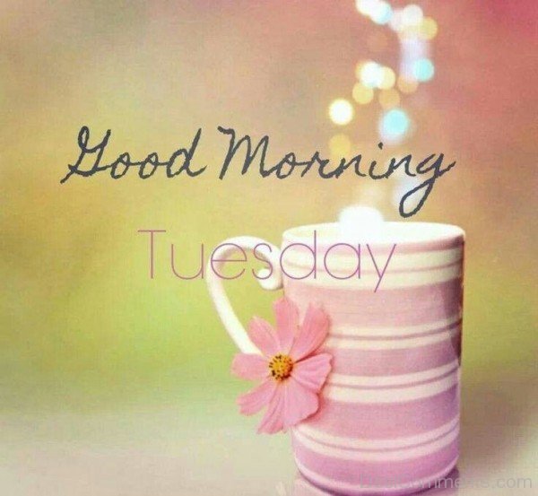 Good Morning - Tuesday