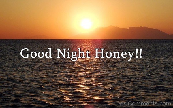 Good Night Honey