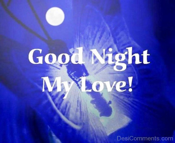 Good Night My Love-YTE308DC23