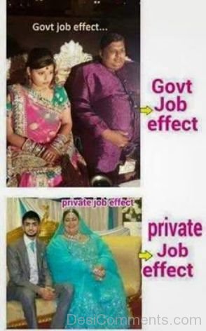 Govt Job Vs Private Job