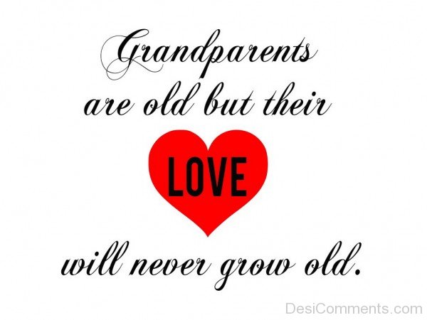 GrandParents Are Old But Their Love Will Never Grow Old