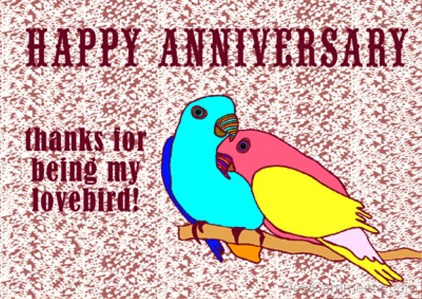 Happy Anniversary Thanks For Being My Lovebird