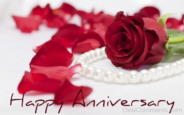 Happy Anniversary With Red Rose