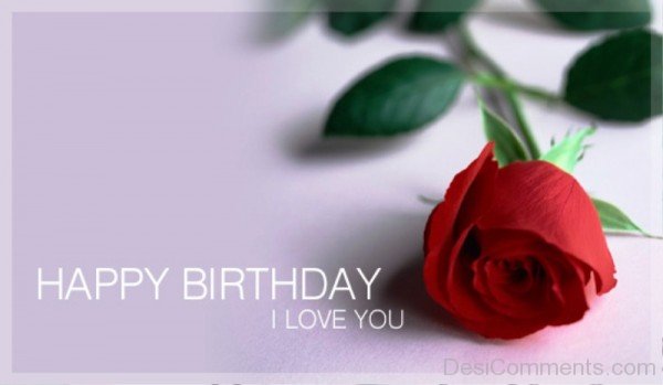 Happy Birthday I Love You With Rose