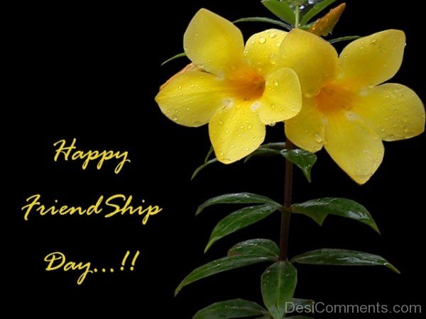 Happy Friendship Day !!