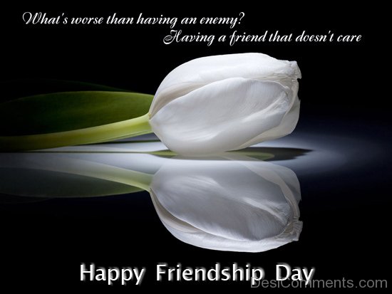 Happy Friendship Day To A Sweet Friend