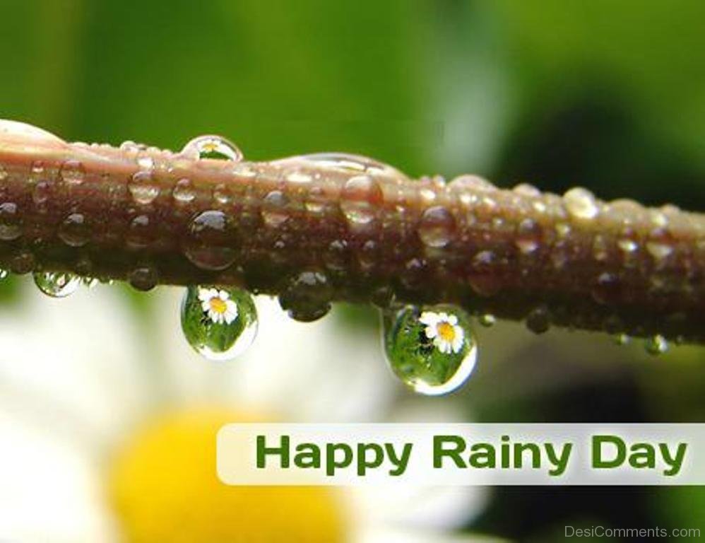 Happy Rain.