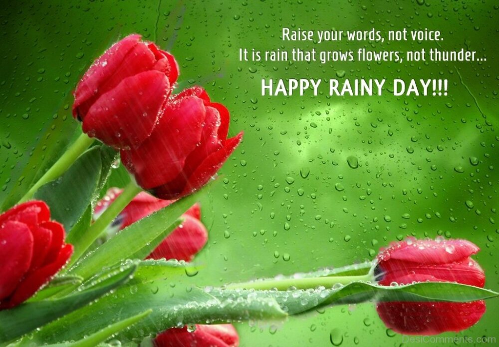 Happy Rainy Day.