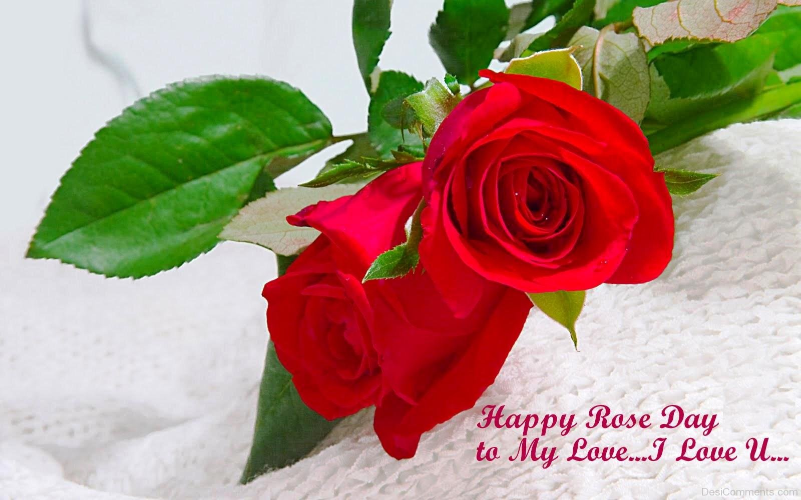 Happy Rose Day To My Love - DesiComments.com