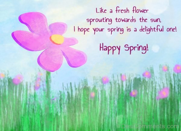 Happy Spring !!