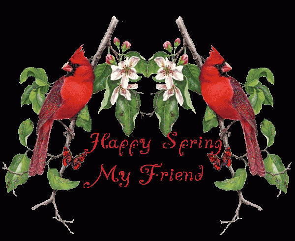 Happy Spring My Friend