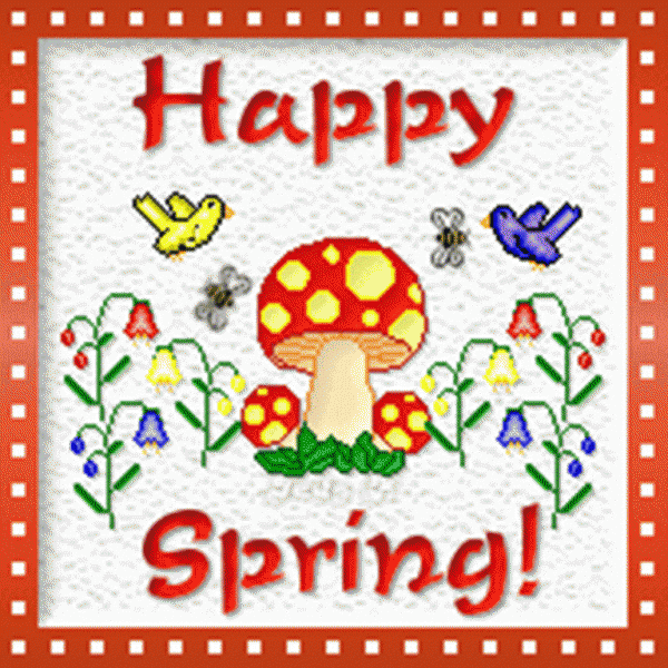 Happy Spring Pic !