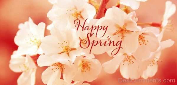 Happy Spring Season To All-DC071