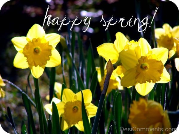 Happy Spring To All You