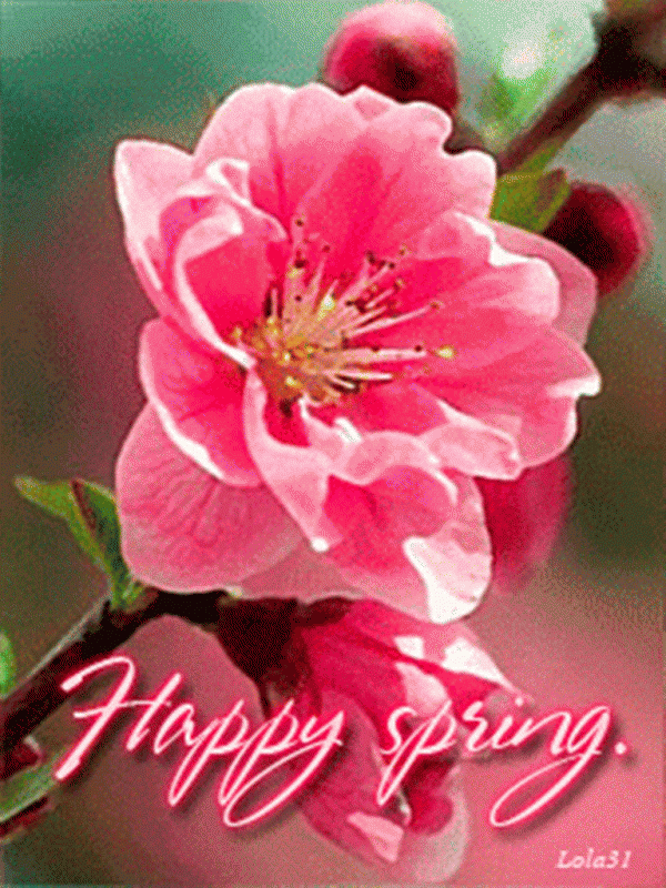 Happy Spring To You !