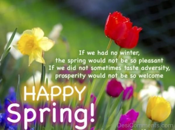Happy Spring To You