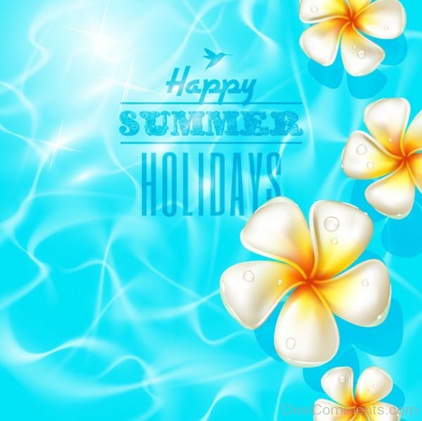 Happy Summer Holidays !-DC34