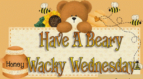 Have A Beary Wacky Wednesday