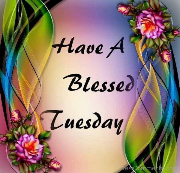 Have A Blessed Tuesday