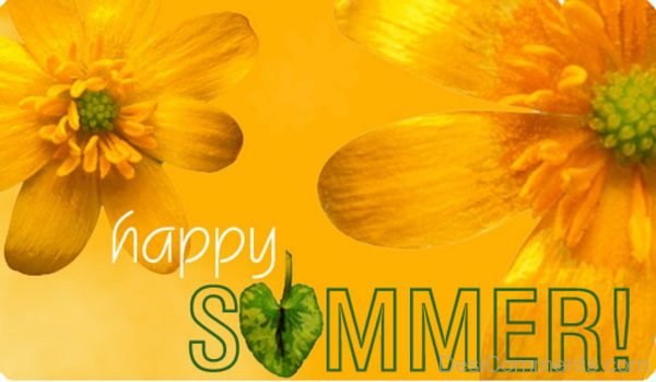 Have A Happy Summer-DC50