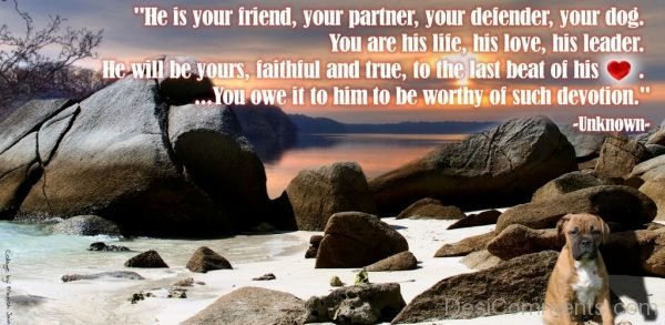He Is Your Friend Your Partner-PC8810-DC12