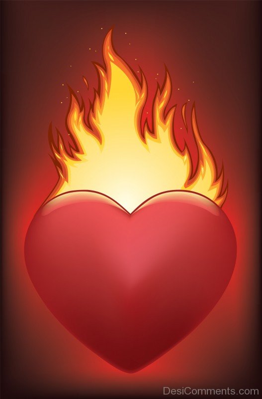 Heart On Fire- DC 02095