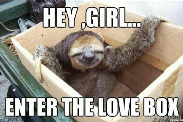 Hey Girl Enter  The Love Box