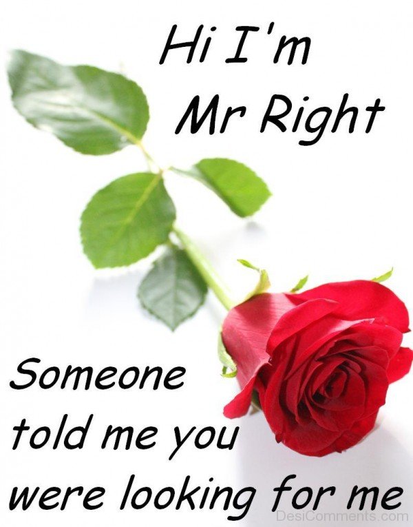Hi I Am Mr Right