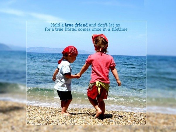 Hold A True Friend And Dont Let Go For A True Friend Comes Once In A Lifetime -DC073