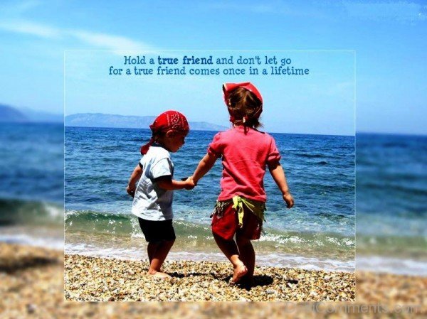 Hold A True Friend And Dont Let Go For A True Friend Comes Once In A Lifetime -dc099097