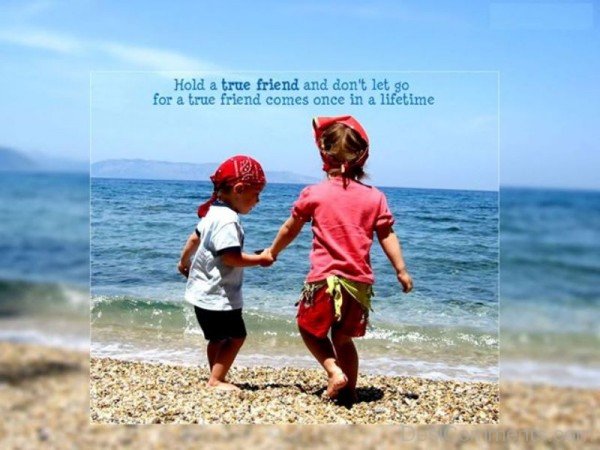 Hold a true friend