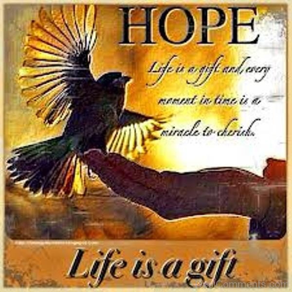 Hope Is a Gift For Life-DC27