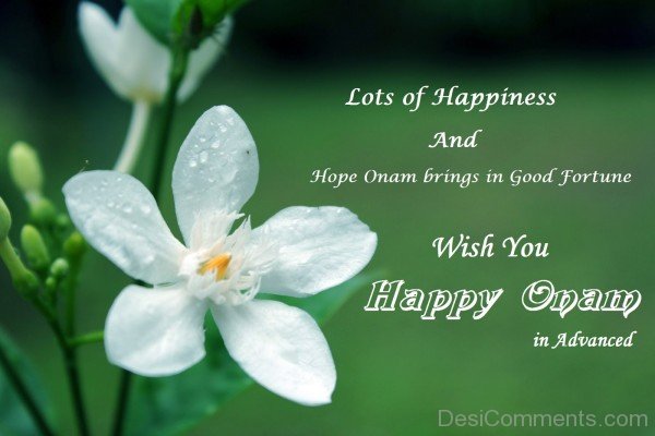 Hope Onam brings in good fortune