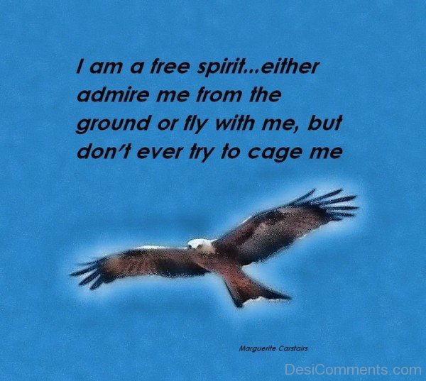 I Am A Free Spirit-DESi43