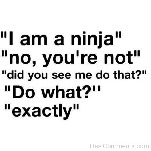 I Am A Ninja