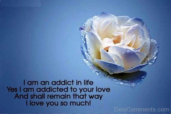 I Am An Addict In Life-rty806DESI06