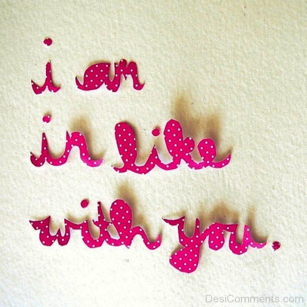 I Am In Like With You