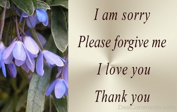 I Am Sorry Please Forgive Me