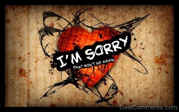 I Am Sorry That Won’t Be Again