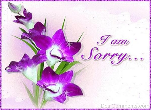 I Am Sorry…