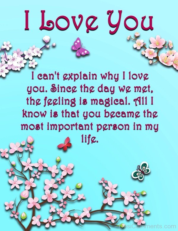 I Can't Explain Why I Love You-tyn921DC43