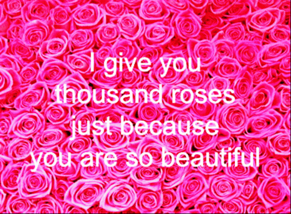 I Give You Thousand Roses Just Because
