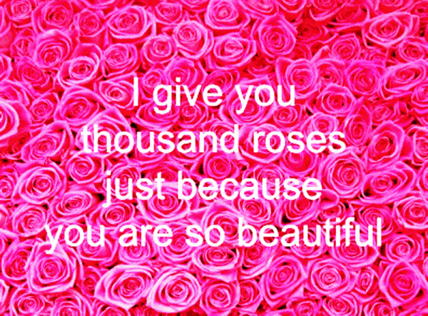 I Give You Thousand Roses Just Because
