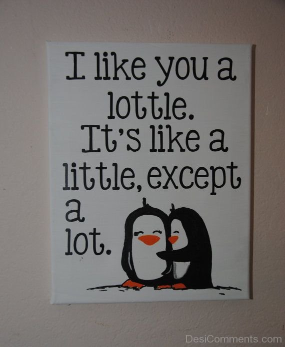 I Like You A Little