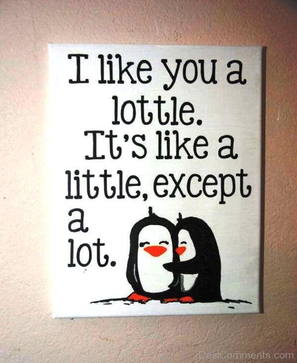 I Like You A Lottle-uhb611DC25