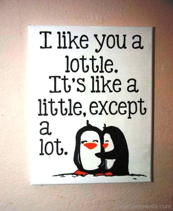 I Like You A Lottle