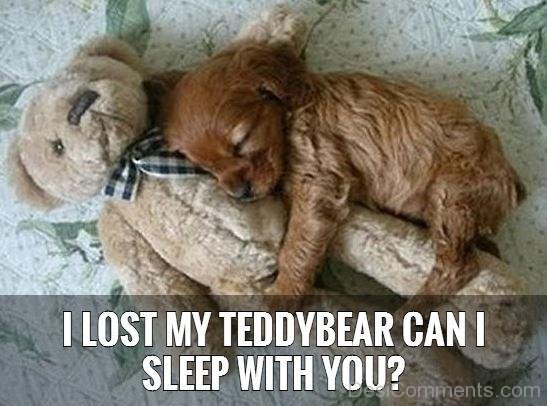 I Lost My Teddy Bear
